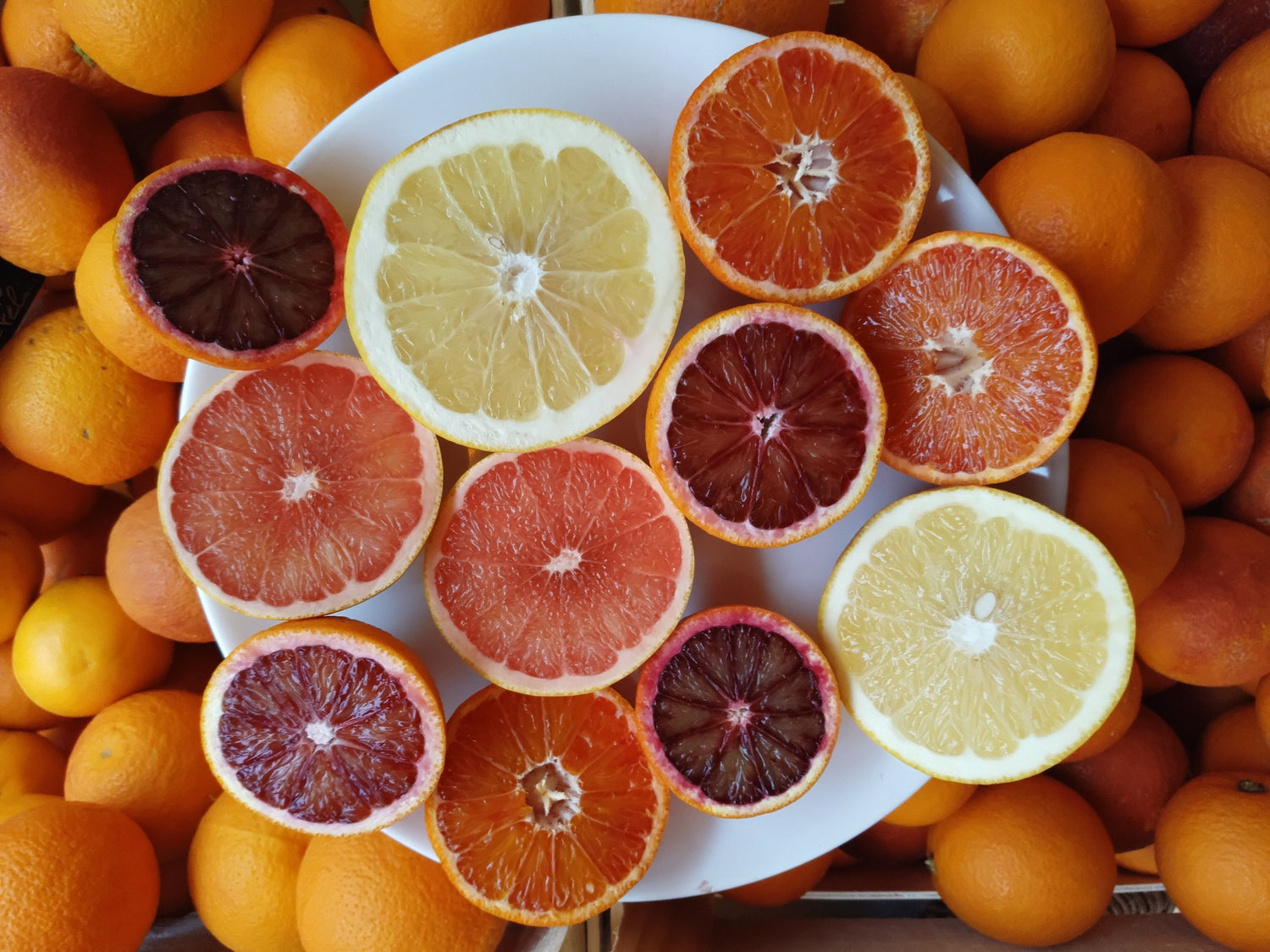 Agrumes non traités de Sicile. Produits de grande qualité à prix raisonnable.